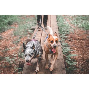 Non-stop Dogwear Touring Double