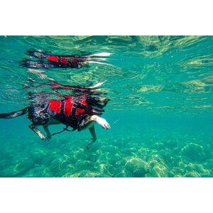 Non-stop Dogwear Safe Life Jacket -pelastusliivi