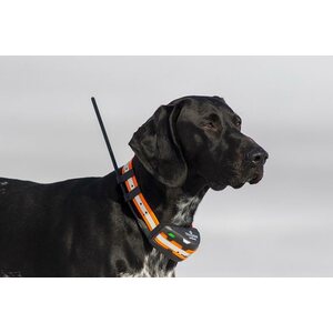 Tracker Artemis EASY