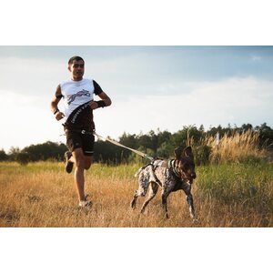 Non-stop Dogwear Freemotion
