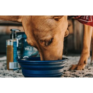 Non-stop Dogwear White Fish Omega-3