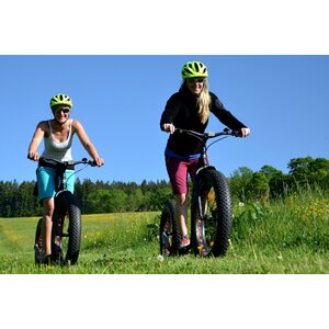 Kickbike Fat MAX