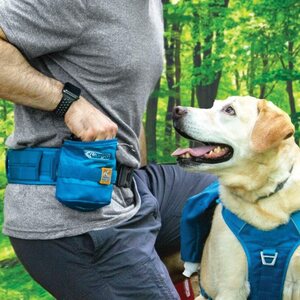 Kurgo RSG YORM Dog Treat Bag