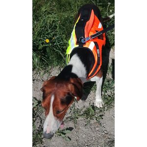 Kardog Jehu GPS Buoyancing Safety Vest