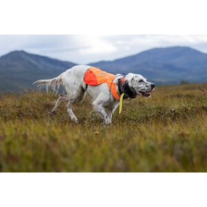 Non-stop Dogwear Protector Cover