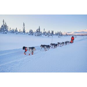 Non-stop Dogwear Nansen Nome 5.0