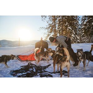 Non-stop Dogwear Nansen Nome 5.0