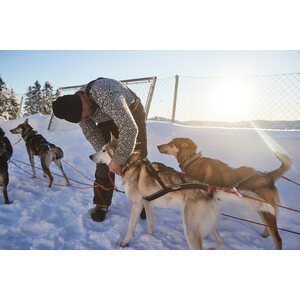 Non-stop Dogwear Nansen Nome 5.0
