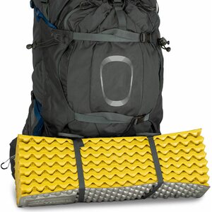 Osprey Ariel Plus 85 Womens