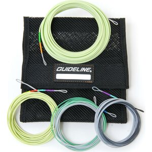 Guideline 4D Compact Multi Tip