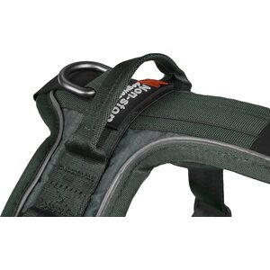 Non-stop Dogwear Ramble Harness