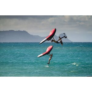 Ozone WASP V2 Wing 3m²