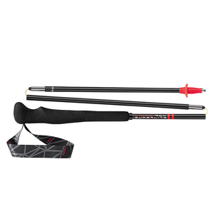 LEKI Micro RCM Superlight