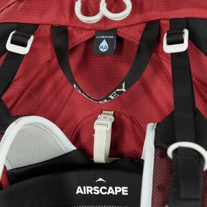 Osprey Talon 22
