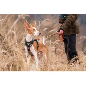Non-stop Dogwear Line Harness Grip