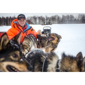 Non-stop Dogwear Nansen Stick Harness
