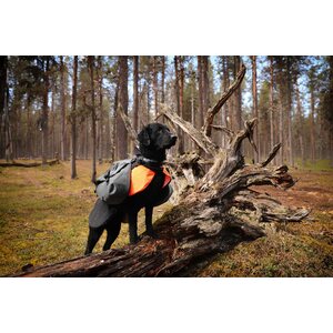 Non-stop Dogwear Amundsen Pack