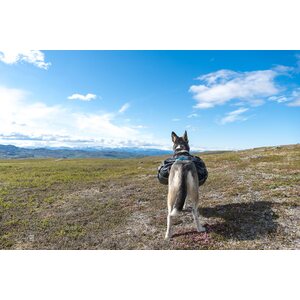 Non-stop Dogwear Amundsen Pack