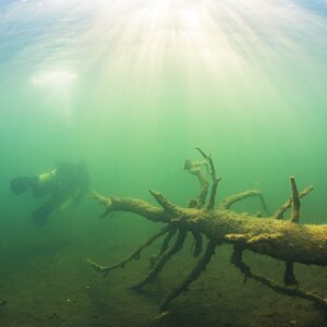 Sukelluskoulu Aalto Guided Shore Snorkeling