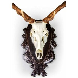 Eurohunt Skull Plate Screw