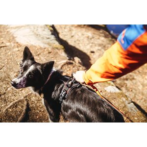 Non-stop Dogwear Rock Harness