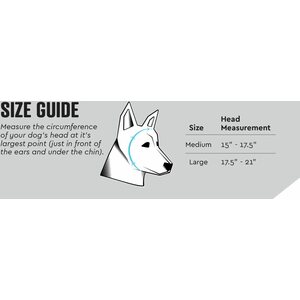 Rex Specs Ear Pro