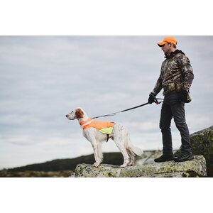 Non-stop Dogwear Touring Bungee Adjustable