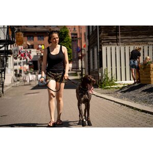 Non-stop Dogwear Touring Bungee Adjustable