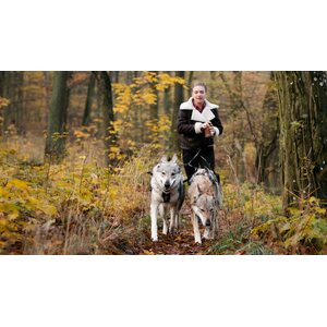 Non-stop Dogwear Touring Double
