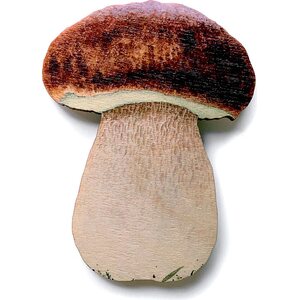 Sakke Yrjölä Boletus magnet