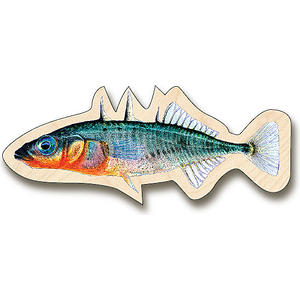 Sakke Yrjölä Three-spined stickleback magnet
