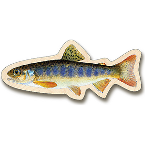 Sakke Yrjölä River trout magnet