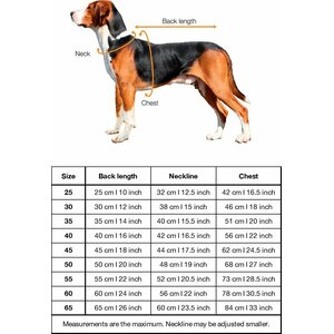 Paikka Recovery Shirt for Dogs