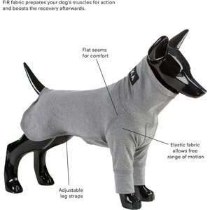 Paikka Recovery Shirt for Dogs