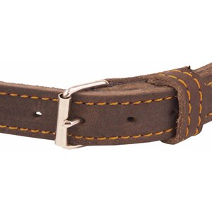Collar Riveted Oil Leather with Cylinder