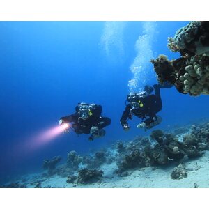 Ocean Reef Predator Extender