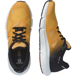 Salomon Predict 2 Mens