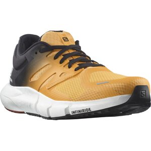 Salomon Predict 2 Mens