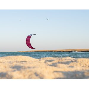 Ozone Edge V11 Kite Only 8m²