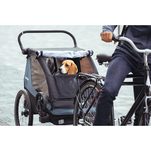 Thule Courier