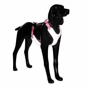 Paikka Visibility Harness for Dogs