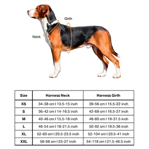 Paikka Visibility Harness for Dogs