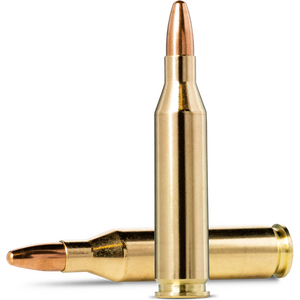 .243 Win Ammunition