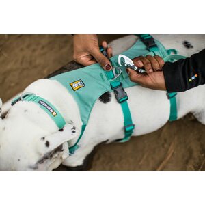 Ruffwear Flagline Harness