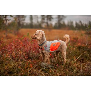 Non-stop Dogwear Reflective Blanket