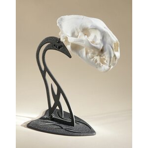 Skull Hooker Table Hooker