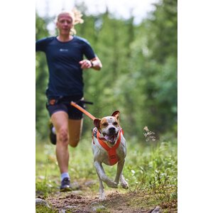Non-stop Dogwear Freemotion 5.0 Harness