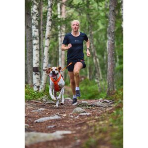 Non-stop Dogwear Freemotion 5.0 Harness