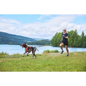 Non-stop Dogwear Freemotion 5.0 Harness