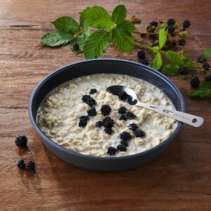 Trek'n Eat Protein Porridge